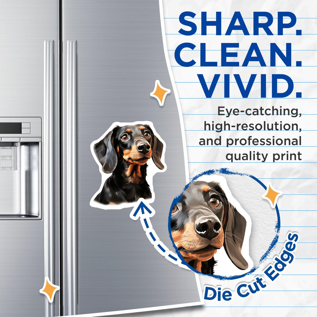 (2 Pack) Black Tan Dachshund Magnets - Doxie Dog Portrait - Pet Lover Fridge Decor - 5 Inches On Longest Side - Thick Durable Magnet - Made in USA - MAG30876