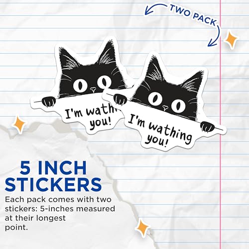 (2 Pack) Funny Cat Stickers - Watching Cat Decal Stickers - Cute Animal Stickers for Laptop or Water Bottle - 5" On Longest Side - Sticks to Any Smooth Flat Surface - Made in USA - BMCS3456