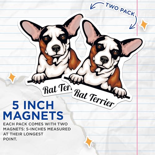 (2 Pack) Rat Terrier Magnets - Cute Dog Magnets - Pet Lover Refrigerator Magnets - 5" On Longest Side - for Cars, Fridges, Toolboxes - Made in USA - MAG4219