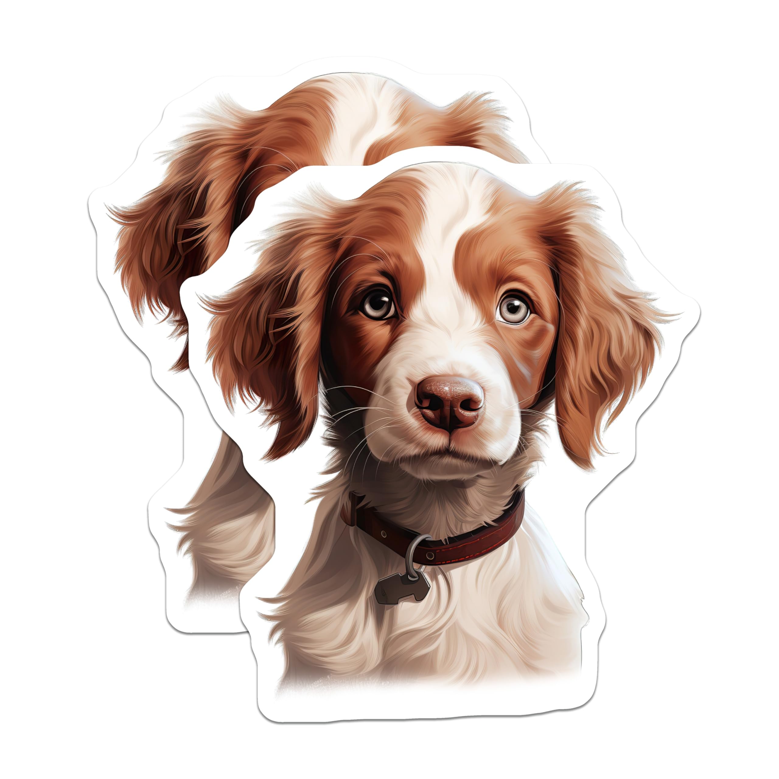 (2 Pack) Brittany Spaniel Magnets - Cute Puppy Fridge Decor - Dog Mom Animal Lover Item - 5 Inches On Longest Side - Thick Durable Magnet - Made in USA - MAG29209