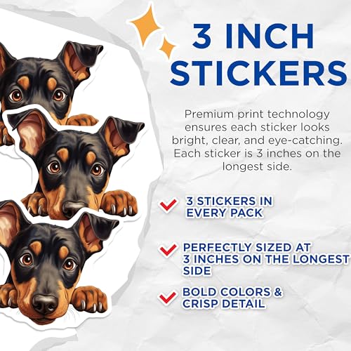 (3 Pack) Rottweiler Decals - Cute Dog - Puppy Peek Animal Stickers - 3 Inches On Longest Side - Easy Peel & Apply - Made in USA - 3MCS8731