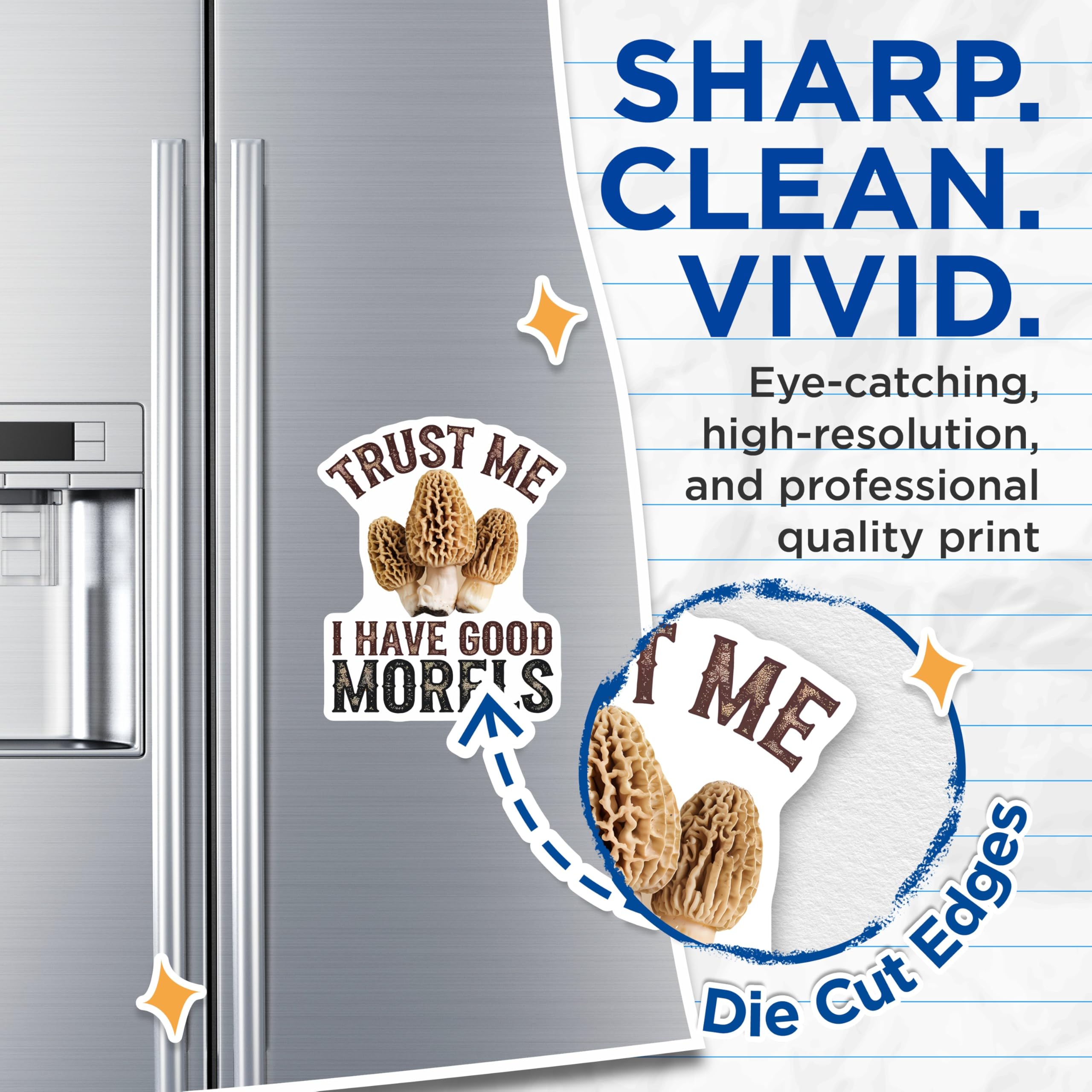 (2 Pack) Morel Mushroom Magnets - Foraging Fun Decor - Fungi Lover Present - 5" On Longest Side - Premium Magnet - for Cars, Refrigerators, Toolboxes, Lockers - Made in USA - MAG15801
