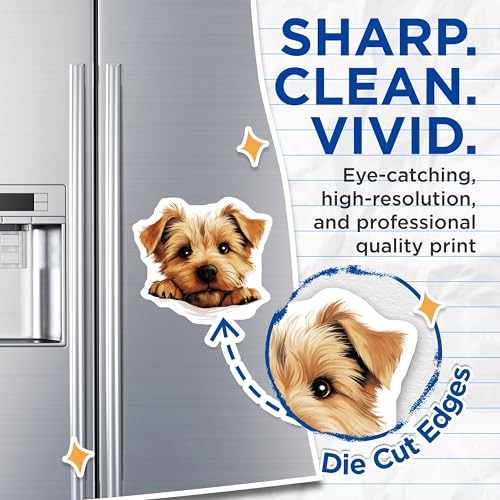 (2 Pack) Puppy Illustration Magnet - 5" On Longest Side - Sticks to Smooth Flat Surfaces - Made in USA - MAG10234