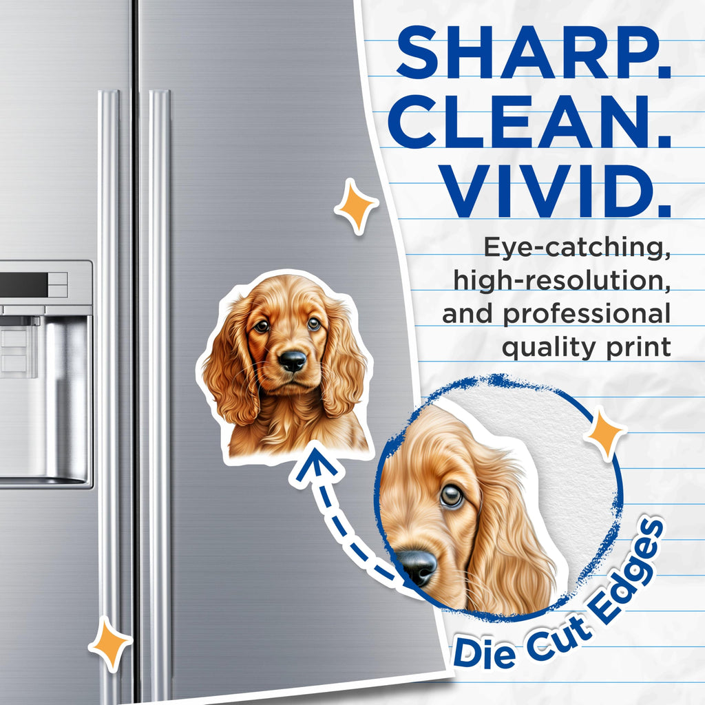(2 Pack) Cocker Spaniel Puppy Magnets - Adorable Dog Lover - Pet Parent Home Decor - 5 Inches On Longest Side - Thick Durable Magnet - Made in USA - MAG27221