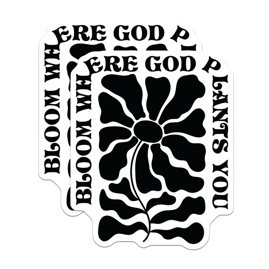 (2 Pack) Bloom Where God Plants You Stickers - Inspirational Flower Stickers - Motivational Quote Stickers - 5" On Longest Side - Sticks to Any Smooth Flat Surface - Made in USA - BMCS3098