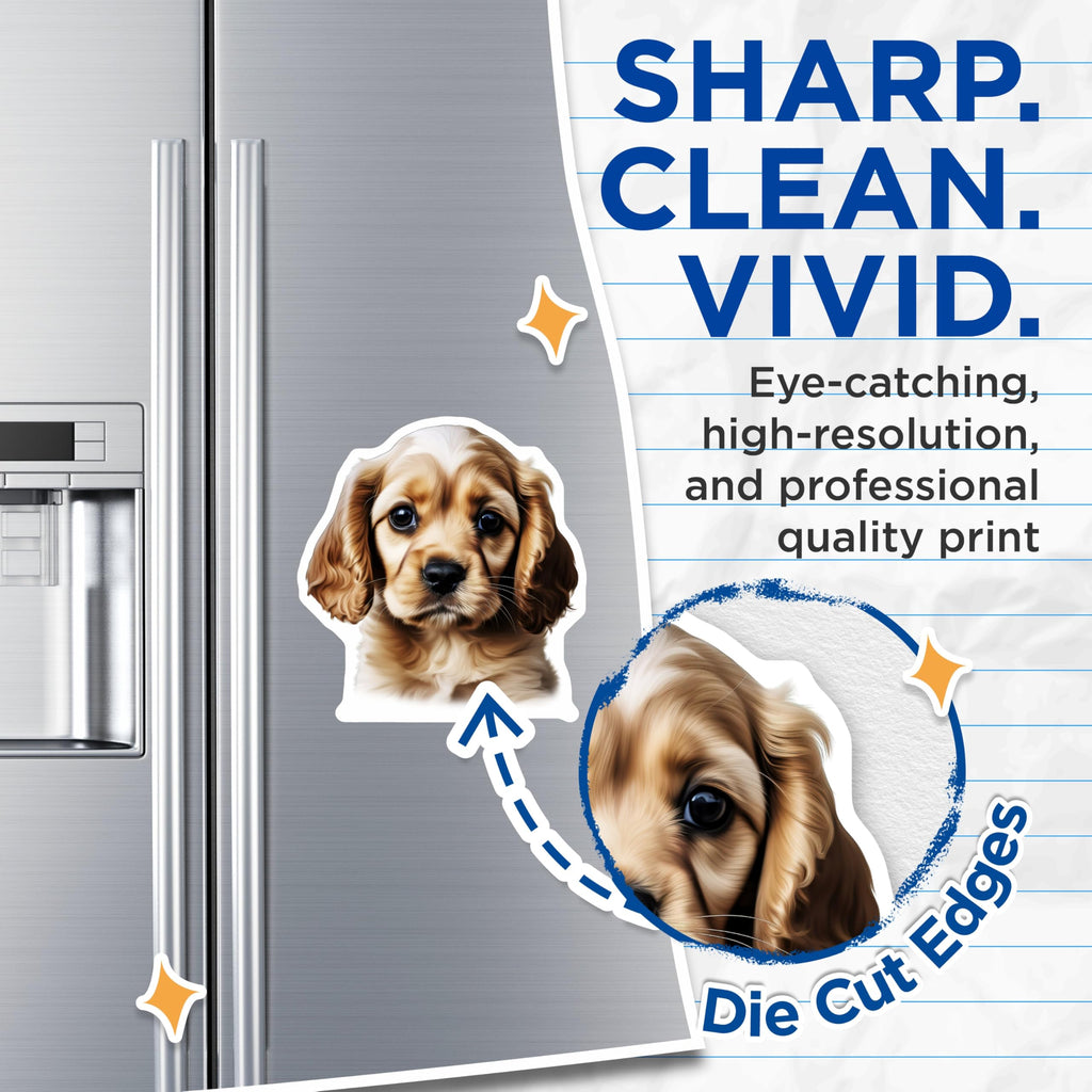 (2 Pack) Cute Puppy Magnets - Spaniel Dog Decor - Pet Lover Accessory - 5 Inches On Longest Side - Thick Durable Magnet - Made in USA - MAG28495
