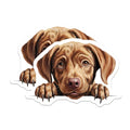 (2 Pack) Puppy Art Magnet - Refrigerator Decor - Animal Lover - Home Office - Kids Room - 5" On Longest Side - Sticks to Smooth Flat Surfaces - Made in USA - MAG10211