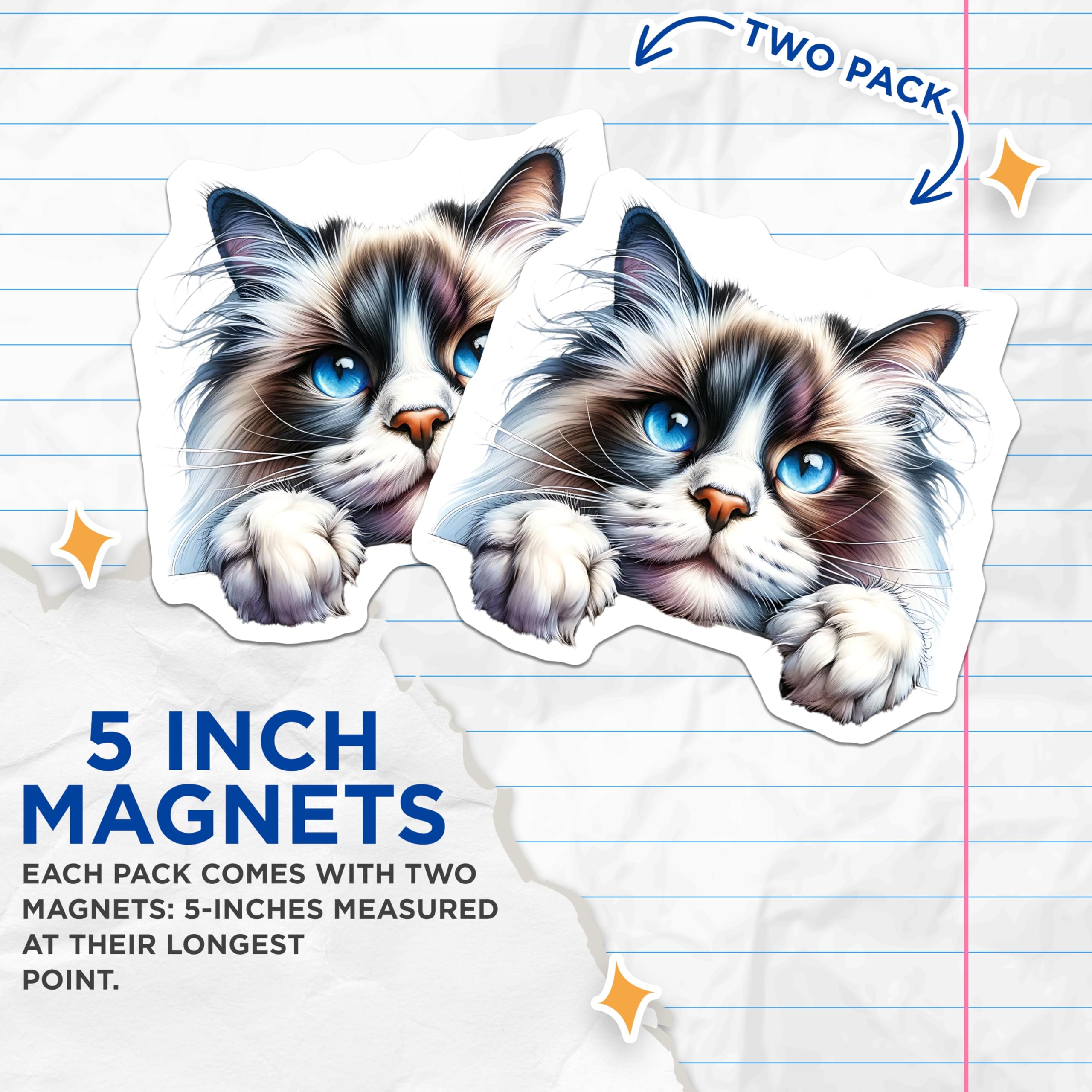 (2 Pack) Ragdoll Cat Magnets - Blue Eyed Kitty - Cute Kitten Refrigerator Magnets - 5" On Longest Side - Premium Magnet - for Cars, Refrigerators, Toolboxes, Lockers - Made in USA - MAG15060