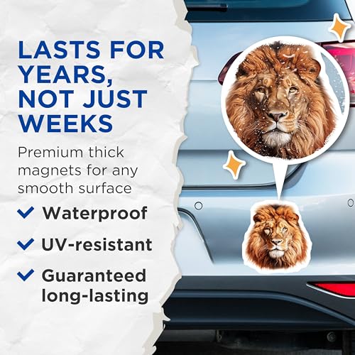 (2 Pack) Majestic Lion Head Magnets - Animal Lover Gifts - Wildlife Home - 5" On Longest Side - for Cars, Fridges, Toolboxes - Made in USA - MAG4265