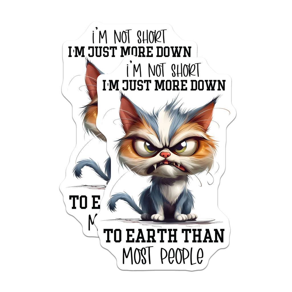 (2 Pack) Grumpy Cat Magnets - Sarcastic Humor Fridge Magnet - Not Short Quote Magnet for Cat Lovers - 5 Inches On Longest Side - Thick Durable Magnet - Made in USA - MAG38070