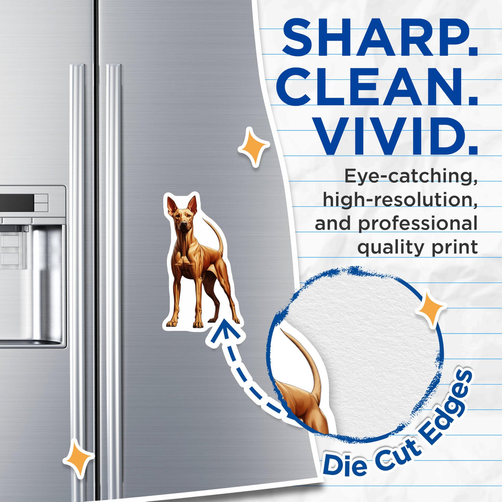 (2 Pack) Rhodesian Ridgeback Magnets - Dog Breed Lover Decor - Canine Art Home Accent - 5 Inches On Longest Side - Thick Durable Magnet - Made in USA - MAG25272