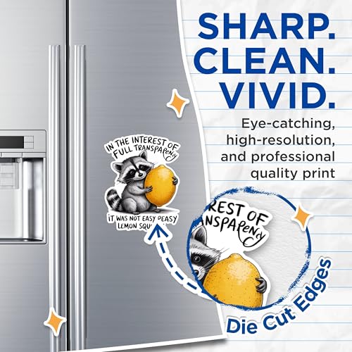 (2 Pack) Funny Raccoon Holding Lemon Magnets - Humor Kitchen Decor Magnets - Cute Animal Refrigerator Magnets- 5" On Longest Side - for Fridges, Toolboxes, Cars - Made in USA - MAG3013