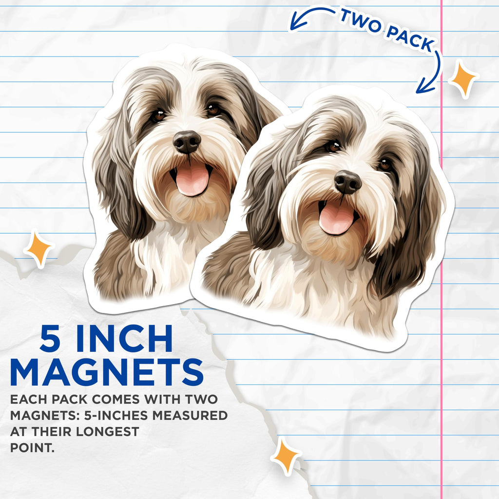 (2 Pack) Bearded Collie Magnets - Cute Shaggy Dog Art - Dog Lover Fridge Decor - 5 Inches On Longest Side - Thick Durable Magnet - Made in USA - MAG25979