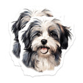 (2 Pack) Shih Tzu Havanese Magnets - Cute Dog Refrigerator Decor - Fluffy Puppy Pet Lover Art - 5 Inches On Longest Side - Thick Durable Magnet - Made in USA - MAG27752