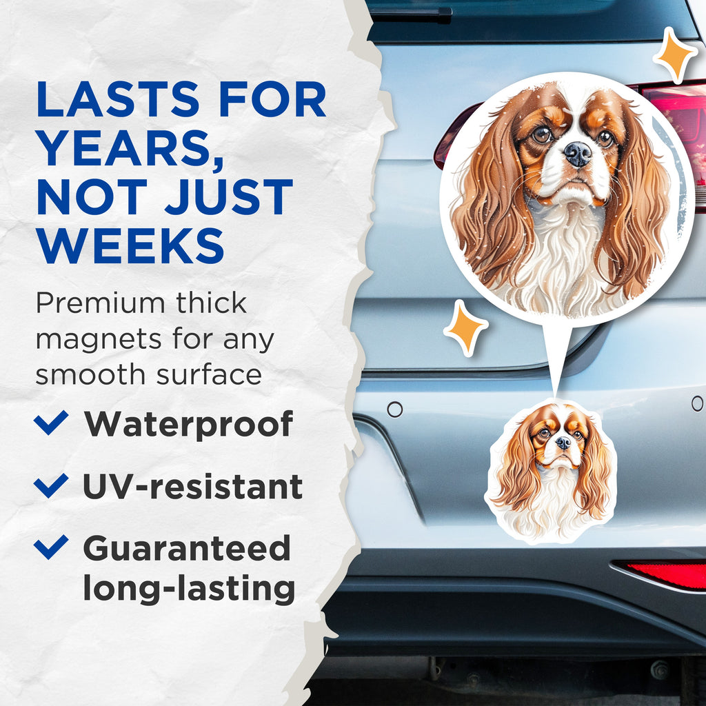(2 Pack) Cavalier King Charles Spaniel Magnets - Dog Lover Fridge Decor - Pet Owner Kitchen Accent - 5 Inches On Longest Side - Thick Durable Magnet - Made in USA - MAG38924