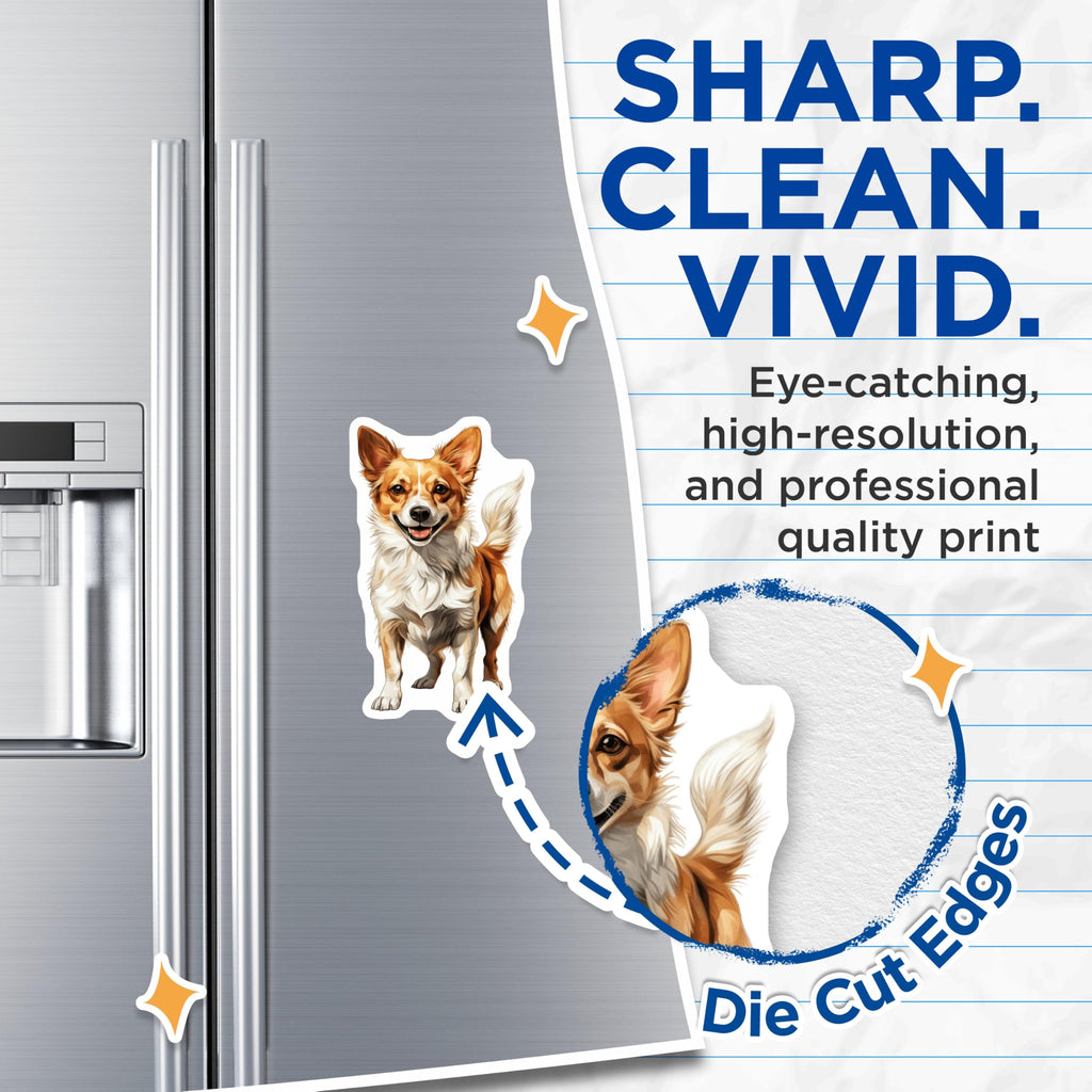 (2 Pack) Fluffy Corgi Dog Magnets - Happy Pet Lover Decor - Cute Animal Fridge Magnet - Puppy Home Decor - 5 Inches On Longest Side - Thick Durable Magnet - Made in USA - MAG27619
