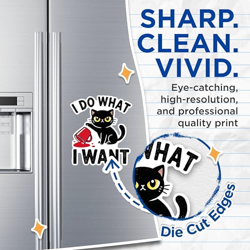 (2 Pack) I Do What I Want Cat Magnets - Funny Cat Magnets - Cute Animal Magnets for Fridge- 5" On Longest Side - for Fridges, Toolboxes, Cars - Made in USA - MAG2798
