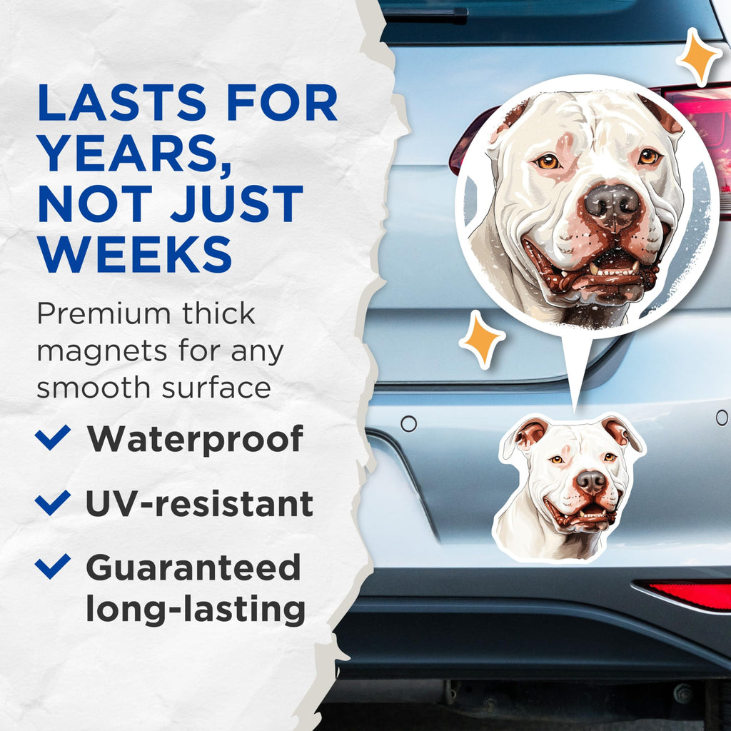 (2 Pack) White Pitbull Dog Magnets - Smiling Pitbull Owner - Dog Mom Dad Decor - Animal Lover Pet Portrait - 5 Inches On Longest Side - Thick Durable Magnet - Made in USA - MAG29666