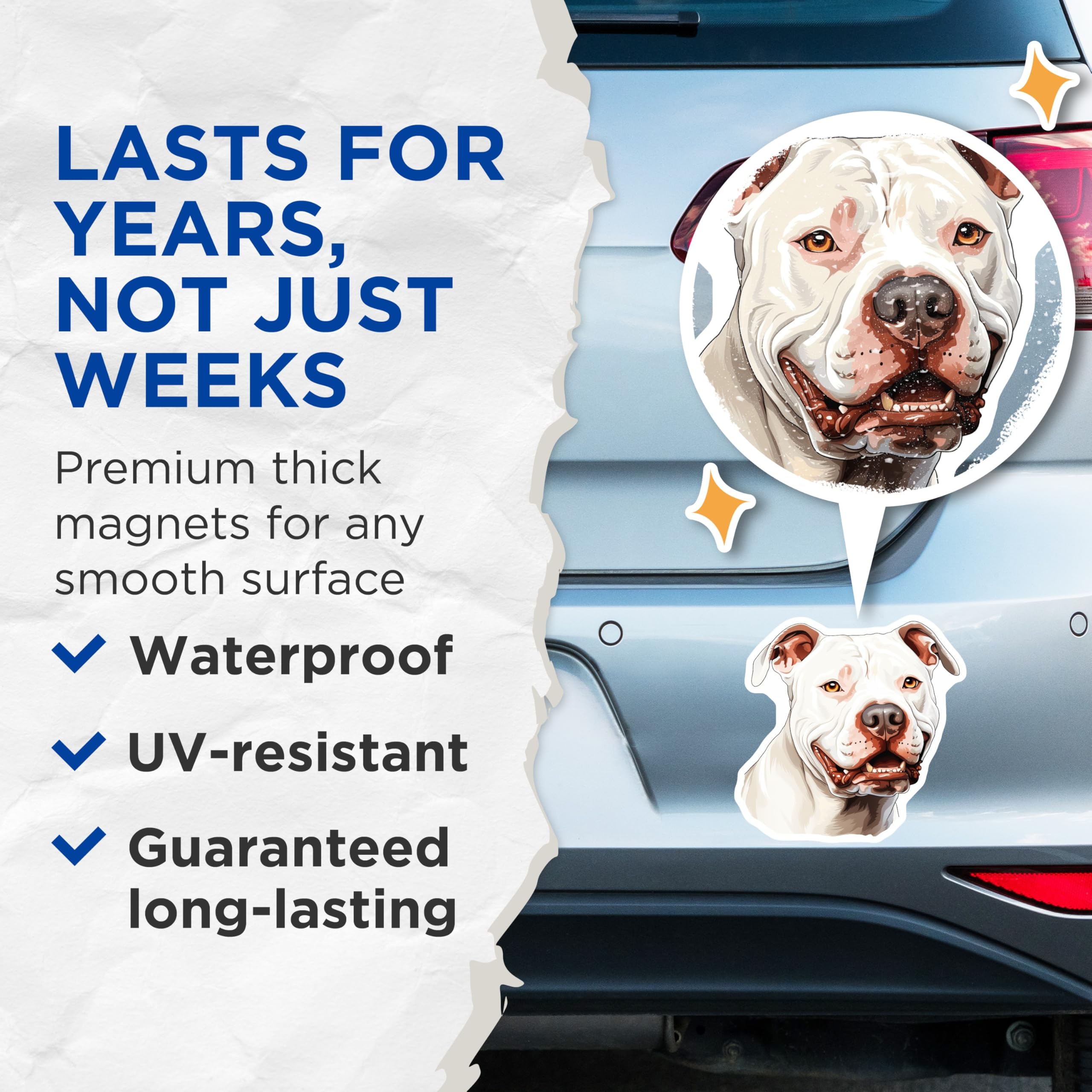 (2 Pack) White Pitbull Dog Magnets - Smiling Pitbull Owner - Dog Mom Dad Decor - Animal Lover Pet Portrait - 5 Inches On Longest Side - Thick Durable Magnet - Made in USA - MAG29666