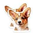 (2 Pack) Pembroke Welsh Corgi Puppy Magnets - Adorable Dog Refrigerator Decor - Pet Lover Home Accessory - Dog Mom Dad - 5 Inches On Longest Side - Thick Durable Magnet - Made in USA - MAG24505