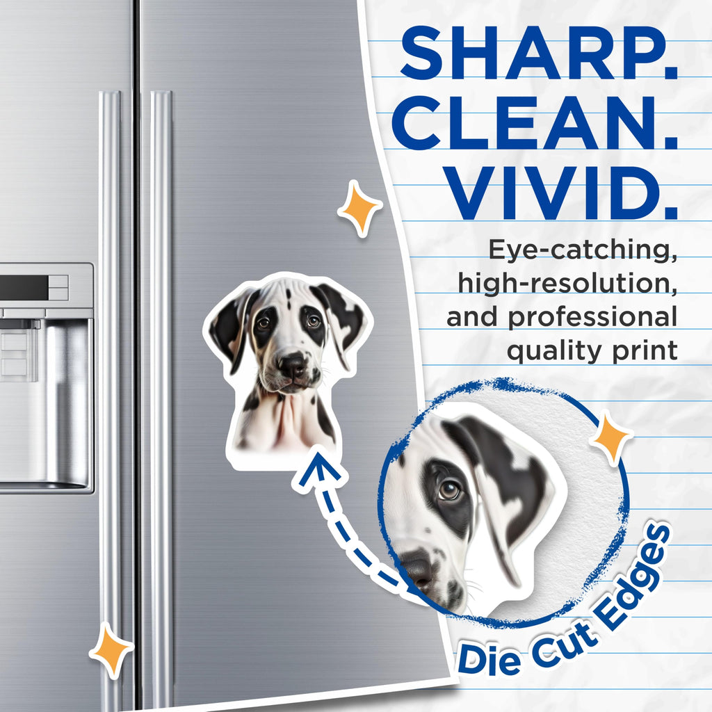 (2 Pack) Great Dane Puppy Magnets - Cute Dog Lover Decor - Pet Parent Refrigerator Accent - 5 Inches On Longest Side - Thick Durable Magnet - Made in USA - MAG28665