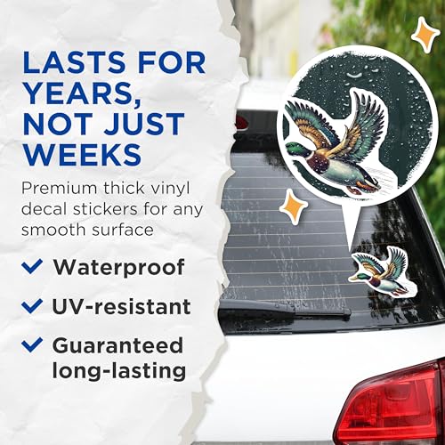 (2 Pack) Mallard Duck Stickers - Flying Duck Illustration - Wildlife Bird Art Decals - 5" On Longest Side - Sticks to Smooth Flat Surfaces - Made in USA - BMCS6045