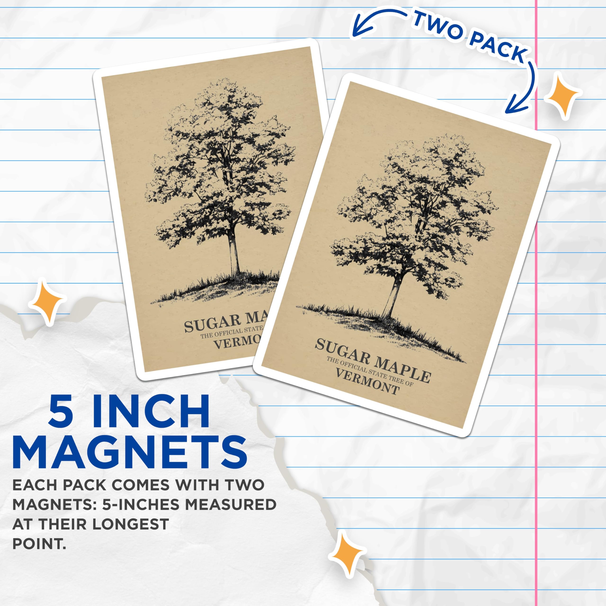 (2 Pack) Sugar Maple Tree Magnets - Vermont State Tree - Nature Artwork - 5" On Longest Side - Premium Magnet - for Cars, Refrigerators, Toolboxes, Lockers - Made in USA - MAG18607