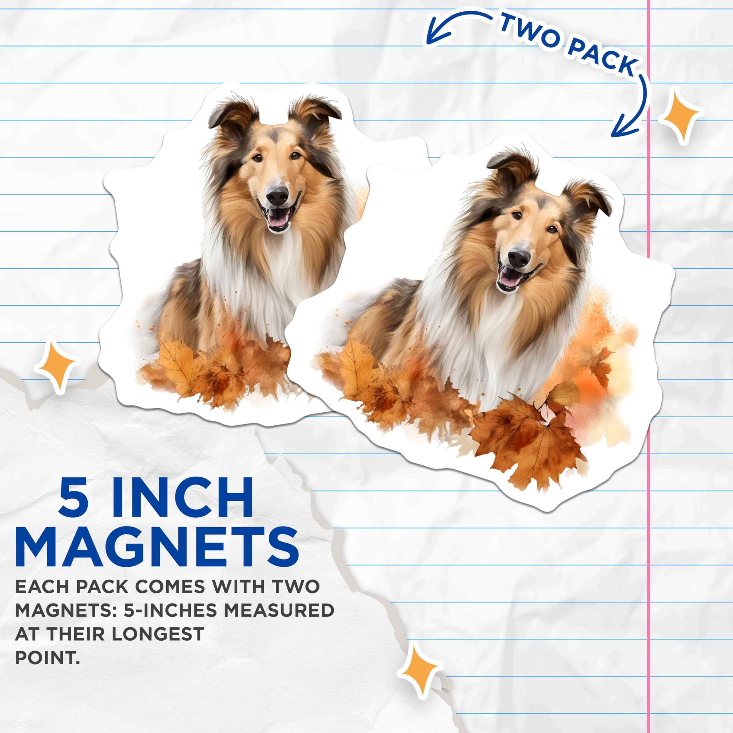 (2 Pack) Collie Dog Magnets - Autumn Pet Art - Fall Decor for Home - Dog Lover Accessories - 5 Inches On Longest Side - Thick Durable Magnet - Made in USA - MAG26508