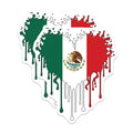 (2 Pack) Melting Mexican Flag Heart Magnets - Mexico Patriotism Magnets - Cultural Fridge Decor - 5 Inches On Longest Side - Thick Durable Magnet - Made in USA - MAG19283