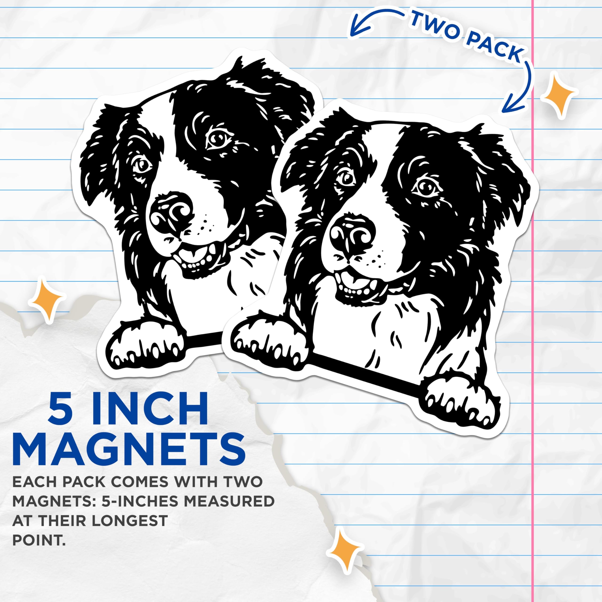 (2 Pack) Border Collie Dog Magnets - Dog Lover - Pet Themed Fridge Magnets - 5" On Longest Side - for Cars, Fridges, Toolboxes - Made in USA - MAG4046