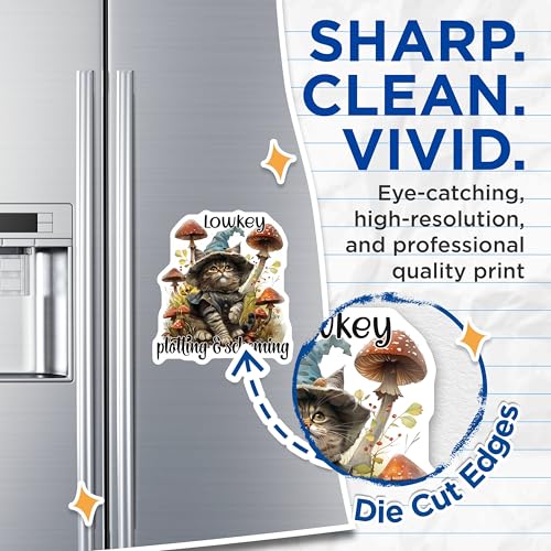 (2 Pack) Cute Cat Magnets - Lowkey Plotting and Scheming - Mushroom Cat - Witch Hat Cat Magnets for Fridge - 5" On Longest Side - for Cars, Fridges, Toolboxes - Made in USA - MAG4342