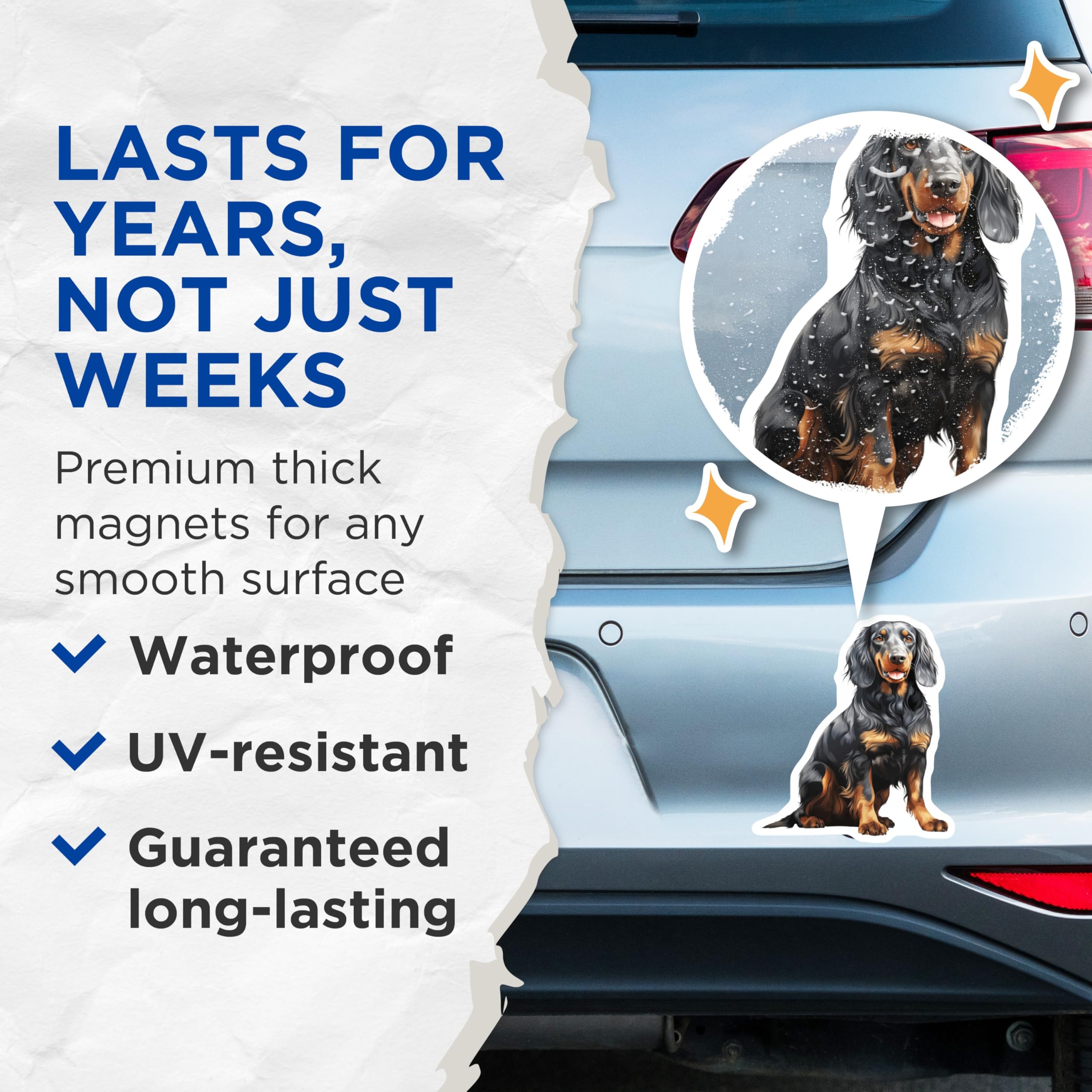 (2 Pack) Long Haired Dachshund Magnets - Black Tan Dog Art - Wiener Dog Refrigerator Accent - 5 Inches On Longest Side - Thick Durable Magnet - Made in USA - MAG29729
