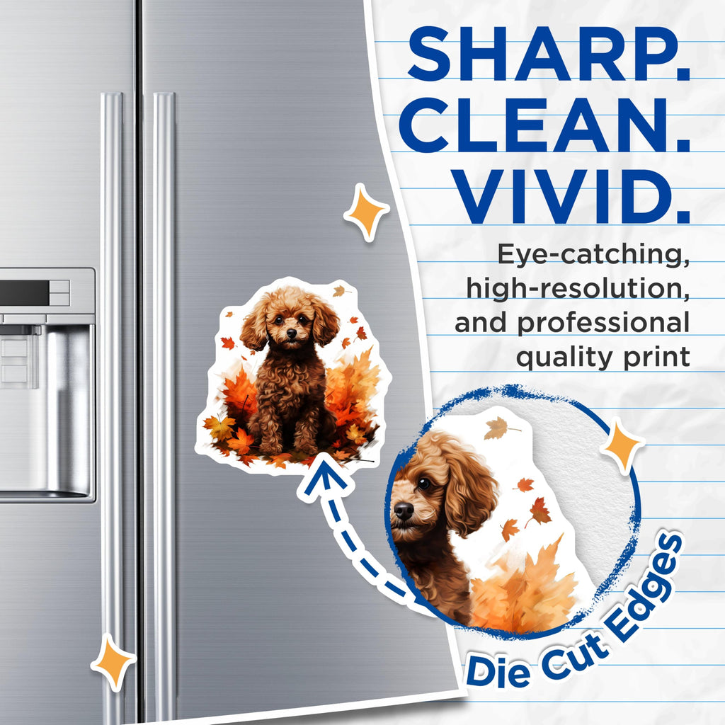(2 Pack) Cute Poodle Dog Magnets - Autumn Leaves Decor - Pet Owner Accessory - 5 Inches On Longest Side - Thick Durable Magnet - Made in USA - MAG27543