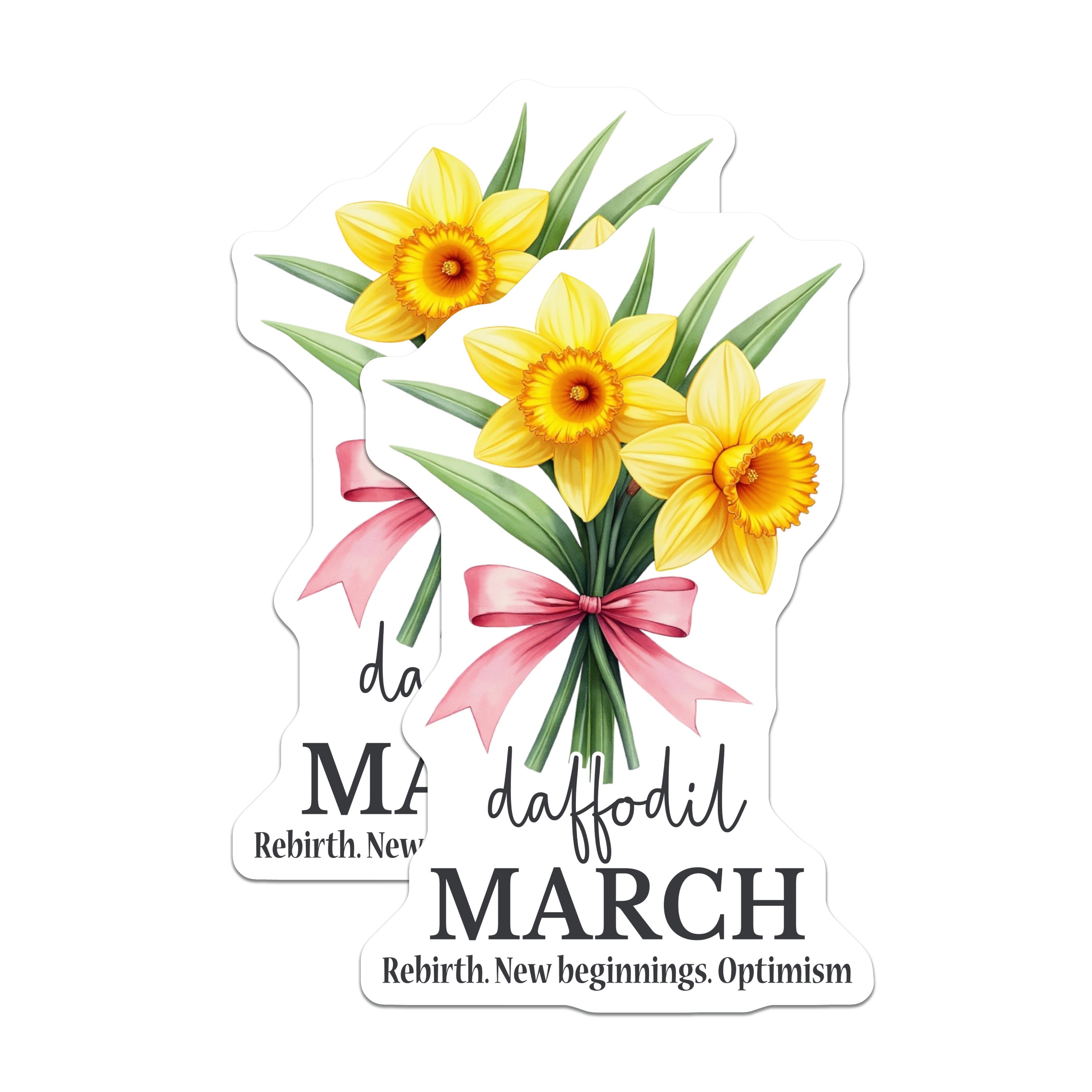 (2 Pack) March Daffodil Magnets - Spring Flower Botanical - Rebirth New Beginnings Optimism Fridge Magnets - 5 Inches On Longest Side - Thick Durable Magnet - Made in USA - MAG39612