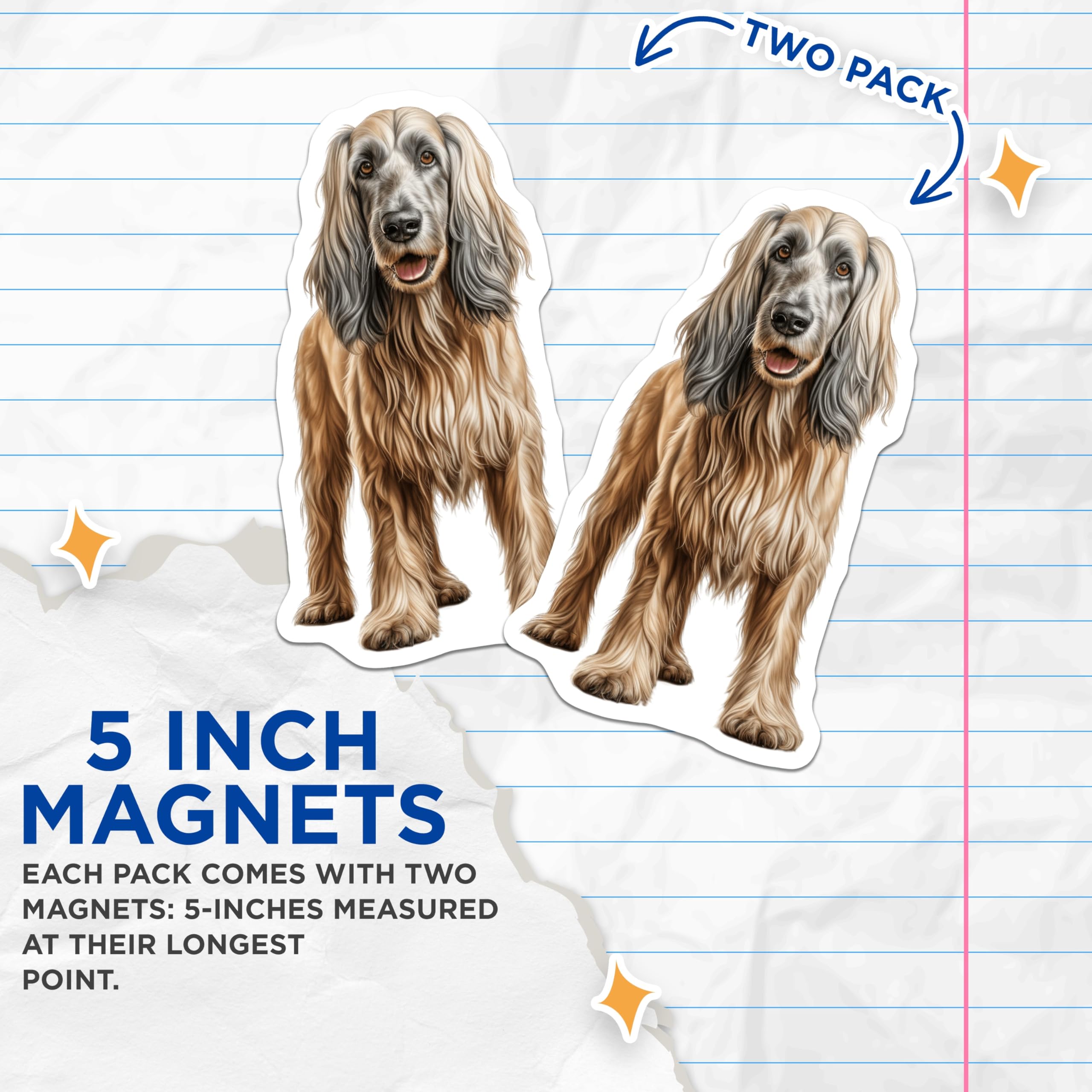 (2 Pack) Afghan Hound Dog Magnets - Long Haired Pet Art - Canine Refrigerator Decoration - 5 Inches On Longest Side - Thick Durable Magnet - Made in USA - MAG27163