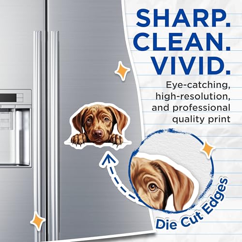 (2 Pack) Puppy Art Magnet - Refrigerator Decor - Animal Lover - Home Office - Kids Room - 5" On Longest Side - Sticks to Smooth Flat Surfaces - Made in USA - MAG10211