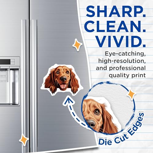 (2 Pack) Dog Lover's Decor Magnet - 5" On Longest Side - Sticks to Smooth Flat Surfaces - Made in USA - MAG10200