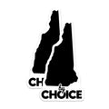 (2 Pack) New Hampshire Magnets - State Silhouette Decor - By Choice Motto Pride - 5 Inches On Longest Side - Thick Durable Magnet - Made in USA - MAG22105