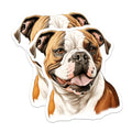(2 Pack) American Bulldog Magnets - Dog Lover Kitchen Decor - Pet Parent Refrigerator Accessories - Canine Portrait - 5 Inches On Longest Side - Thick Durable Magnet - Made in USA - MAG29933