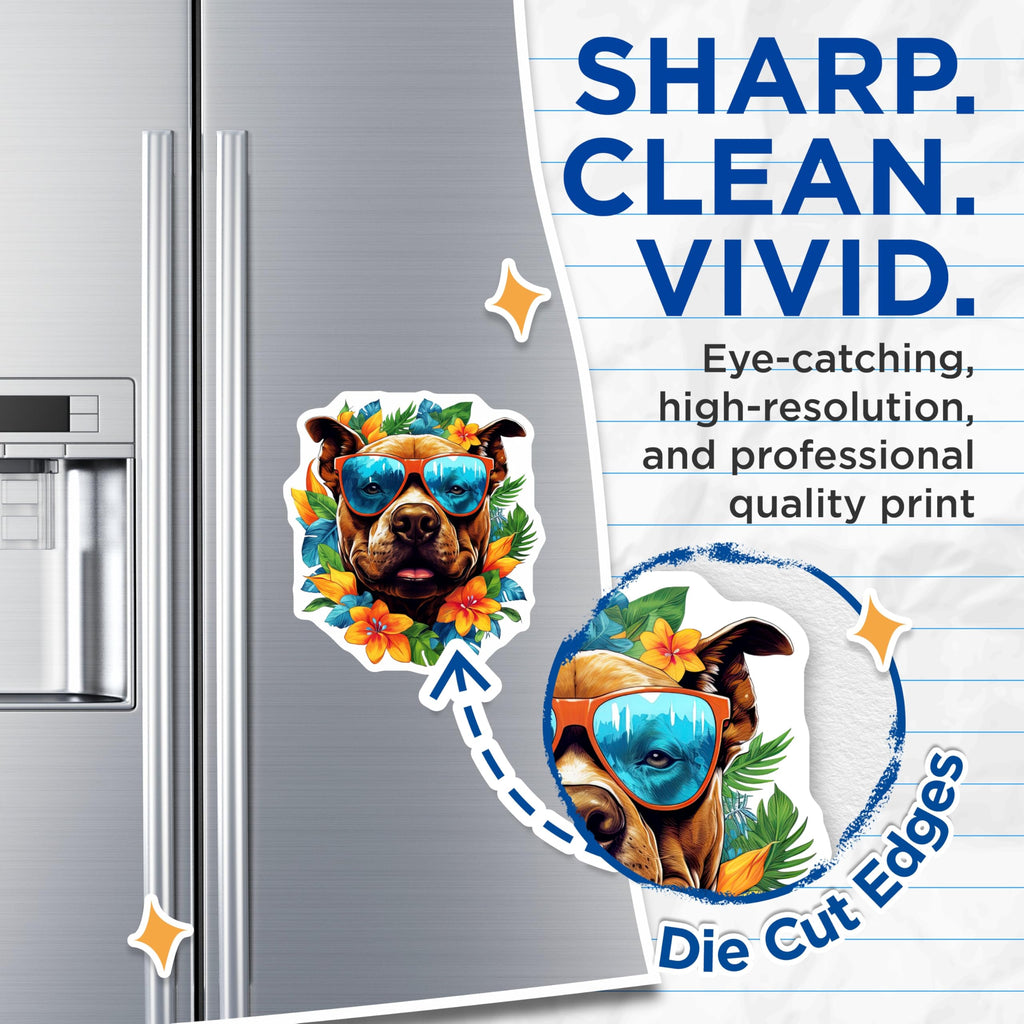 (2 Pack) Pitbull Magnets - Tropical Dog Art - Summer Sunglasses Pitbull - Hawaiian Vibe Pet Decor - Fridge Locker Accent - 5 Inches On Longest Side - Thick Durable Magnet - Made in USA - MAG23061