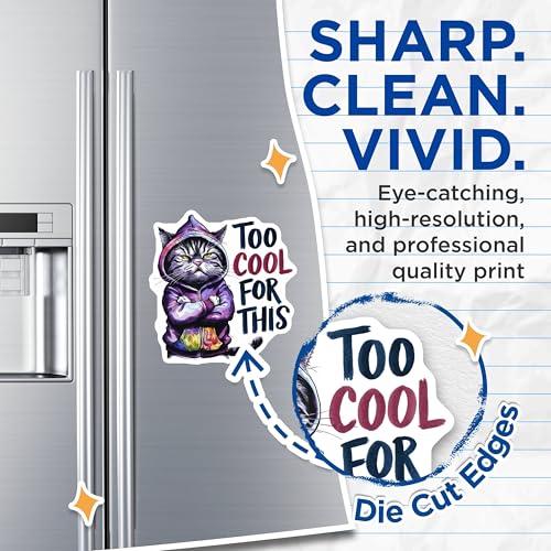 (2 Pack) Cat Attitude Magnets Magnets - 5" On Longest Side - Made in USA - Sticks to Refrigerators & Metal Surfaces - MAG8565