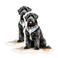 (2 Pack) Black Russian Terrier Magnets - Elegant Dog Art - Home Decor Refrigerator Magnets - 5" On Longest Side - Premium Magnet - for Cars, Refrigerators, Toolboxes, Lockers - Made in USA - MAG14028