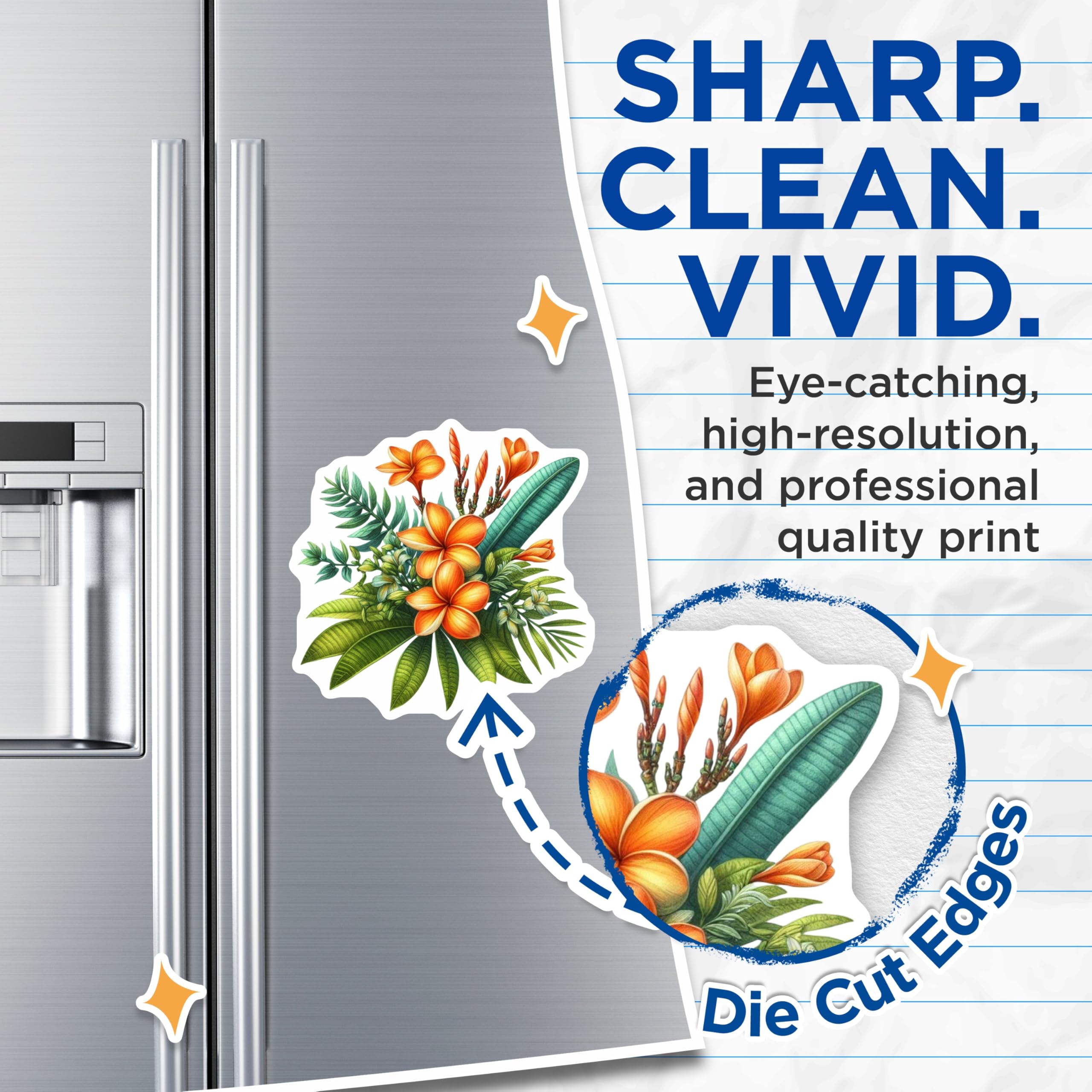(2 Pack) Plumeria Tropical Flowers Magnets - Exotic Botanical Decor - Vibrant Hawaiian Fridge Art - 5 Inches On Longest Side - Thick Durable Magnet - Made in USA - MAG20750