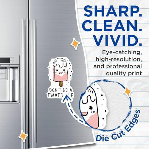 (2 Pack) Funny Inspirational Magnets Magnets - Ice Cream Popsicle Quote - Kitchen Decor - 5" On Longest Side - Made in USA - Sticks to Refrigerators & Metal Surfaces - MAG8675