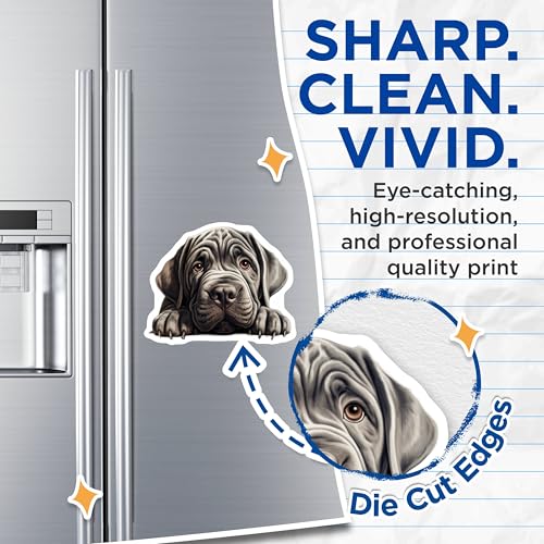 (2 Pack) Dog Lovers Magnet - Fridge Decoration - Kitchen Decor - Pet Owner Gift - 5" On Longest Side - Sticks to Smooth Flat Surfaces - Made in USA - MAG10232