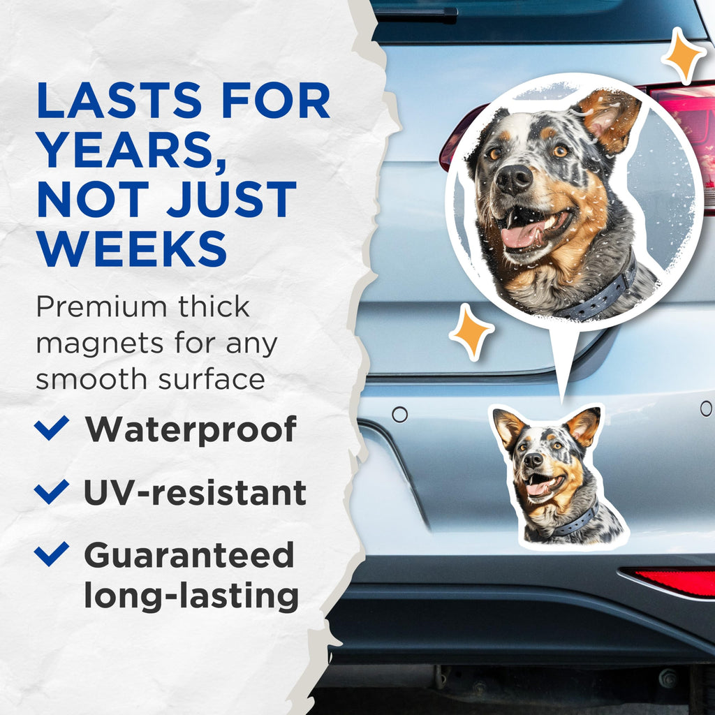 (2 Pack) Blue Heeler Dog Magnets - Australian Cattle Dog Art - Pet Lover Fridge Decor - Farm Ranch Gift - 5 Inches On Longest Side - Thick Durable Magnet - Made in USA - MAG30664