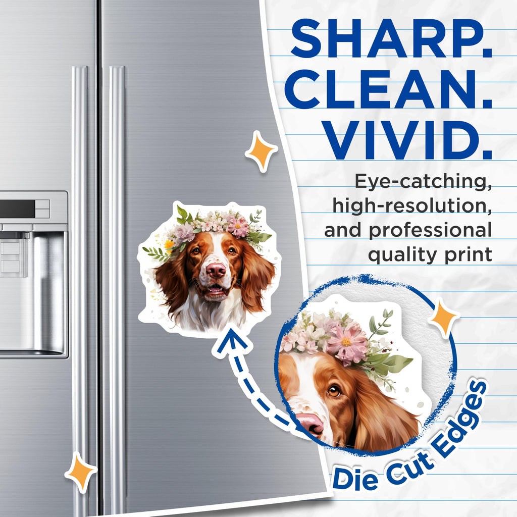 (2 Pack) Springer Spaniel Magnets - Floral Dog Decor - Dog Mom Refrigerator Locker Art - 5 Inches On Longest Side - Thick Durable Magnet - Made in USA - MAG30391