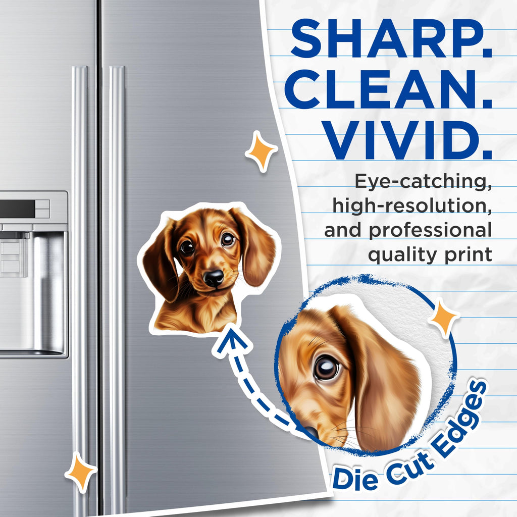 (2 Pack) Dachshund Magnets - Cute Wiener Dog Art Decor - Puppy Face Pet Lover Fridge Refrigerator Supplies - 5 Inches On Longest Side - Thick Durable Magnet - Made in USA - MAG27784