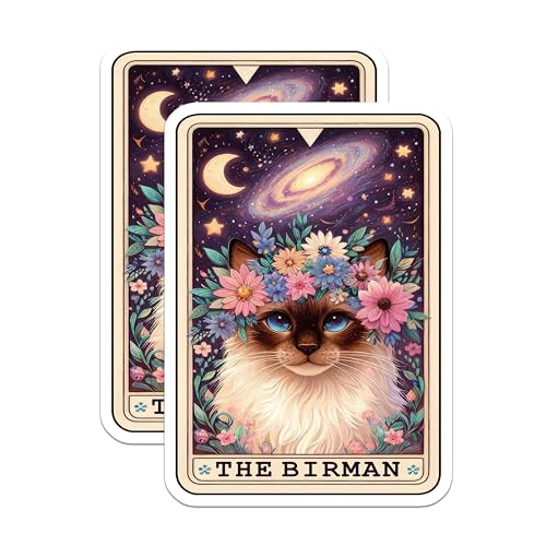 (2 Pack) Cat Stickers - Floral Stickers - Astral Stickers - Cute Pet Stickers - Space Art Stickers - Galaxy Stickers - 5" On Longest Side - Sticks to Smooth Flat Surfaces - Made in USA - BMCS4780