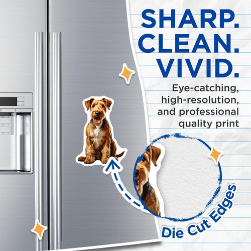 (2 Pack) Airedale Terrier Magnets - Cute Dog Lover Decor - Pet Owner Fridge Accent - Animal Enthusiast Locker Magnet - 5 Inches On Longest Side - Thick Durable Magnet - Made in USA - MAG26148